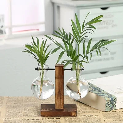 Hydroponic Transparent Plant Vases with Built-in Hydroponic System - Grow Healthy Plants Effortlessly