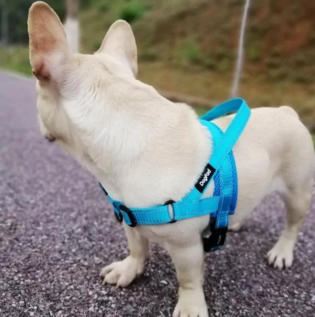 Adjustable Dog Harness with Reflective Strip and Multiple Pulling Options