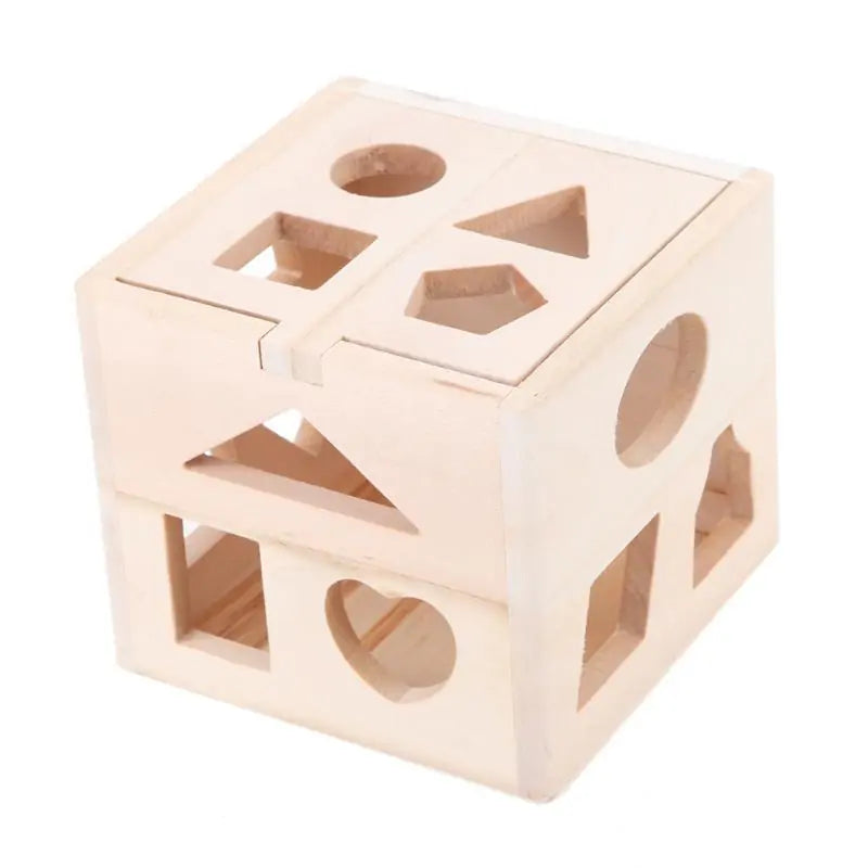 Montessori Wooden Shapes Sorting Cube