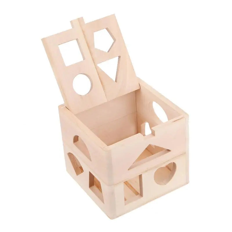 Montessori Wooden Shapes Sorting Cube