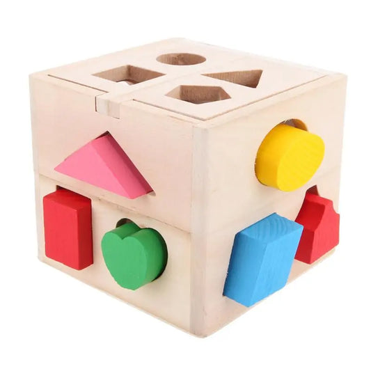 Montessori Wooden Shapes Sorting Cube