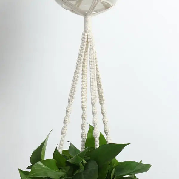 Macrame Plant Hangers - Set of 4 | 100% Cotton Rope | Boho-Chic Design