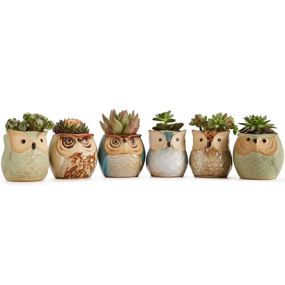 Owl Pot Ceramic Base