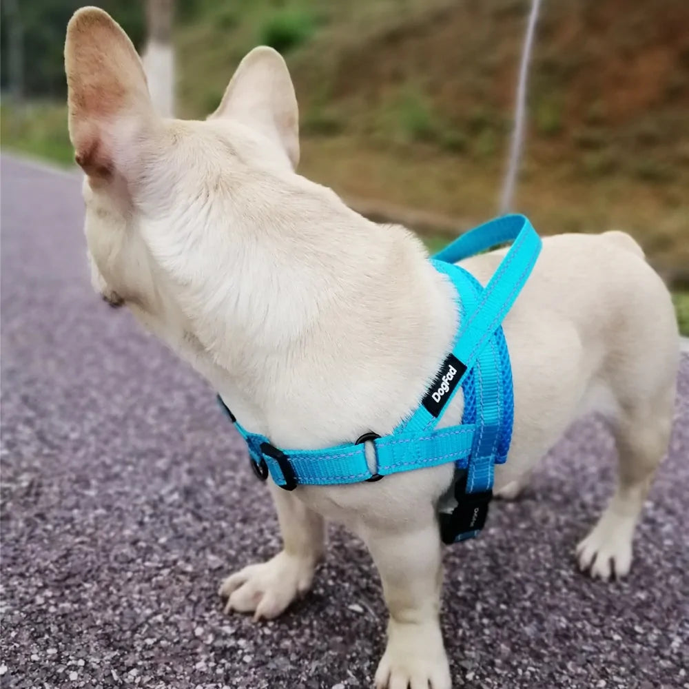 Adjustable Dog Harness with Reflective Strip and Multiple Pulling Options