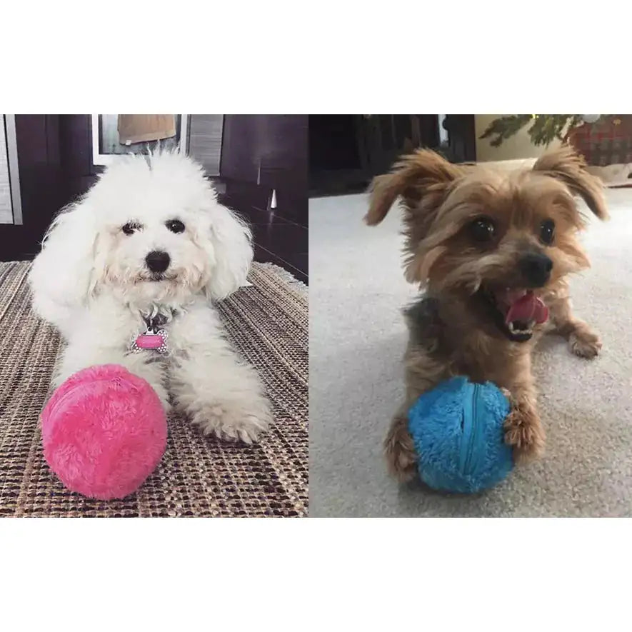 Active Rolling Ball Dog Toy